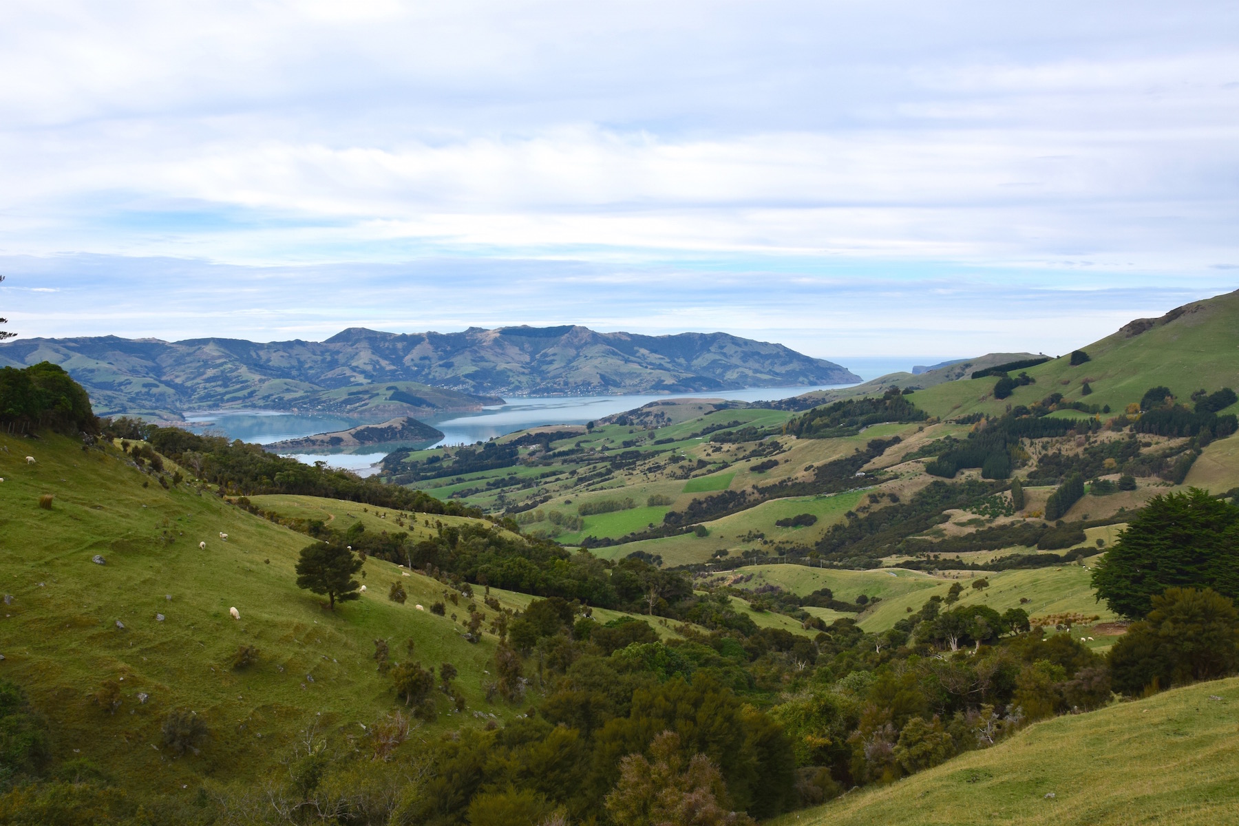 Akaroa