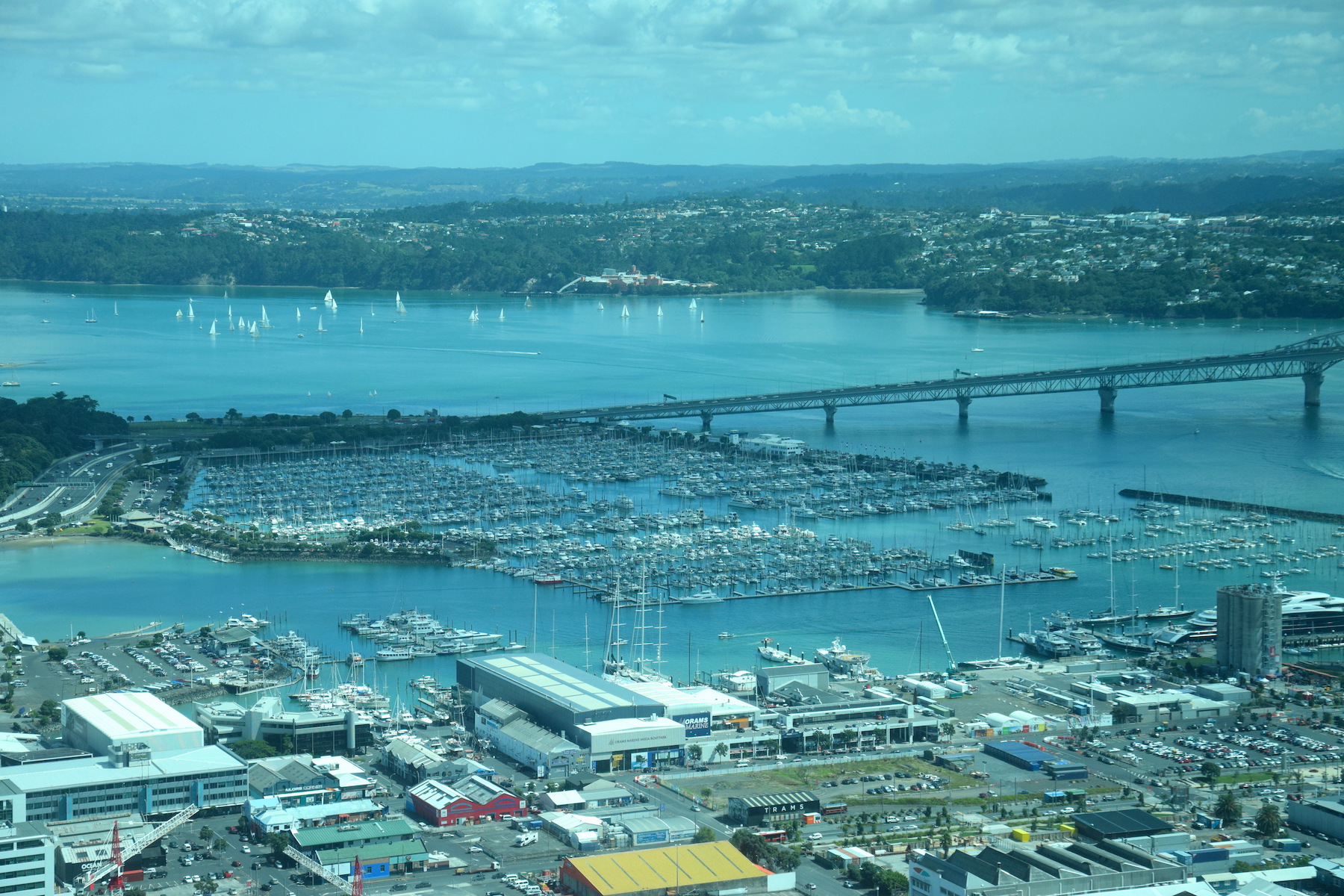 Auckland