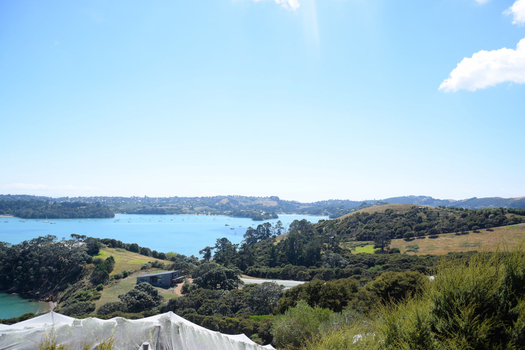 Waiheke Island