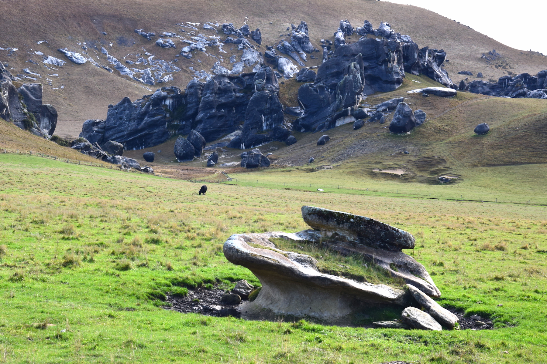 Felsformationen bei Castle Hill