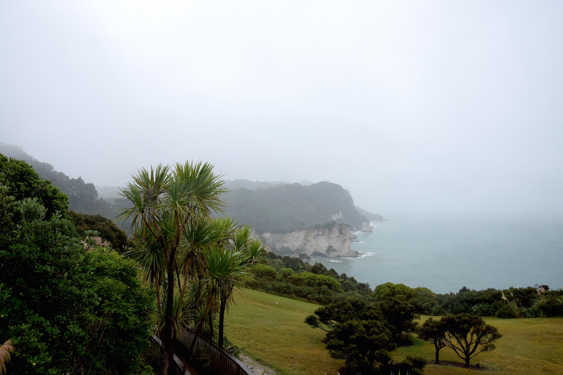 Cathedral Cove