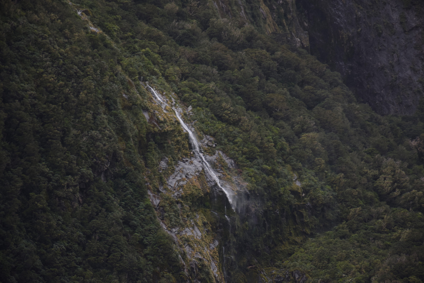 Milford Sound