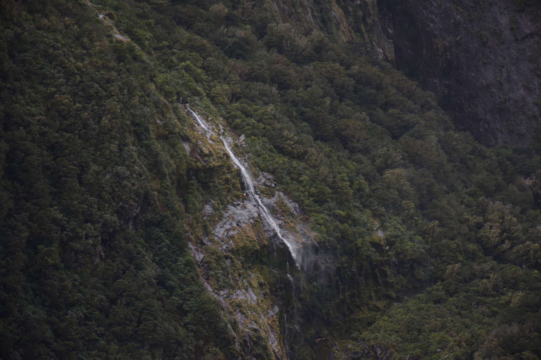 Milford Sound