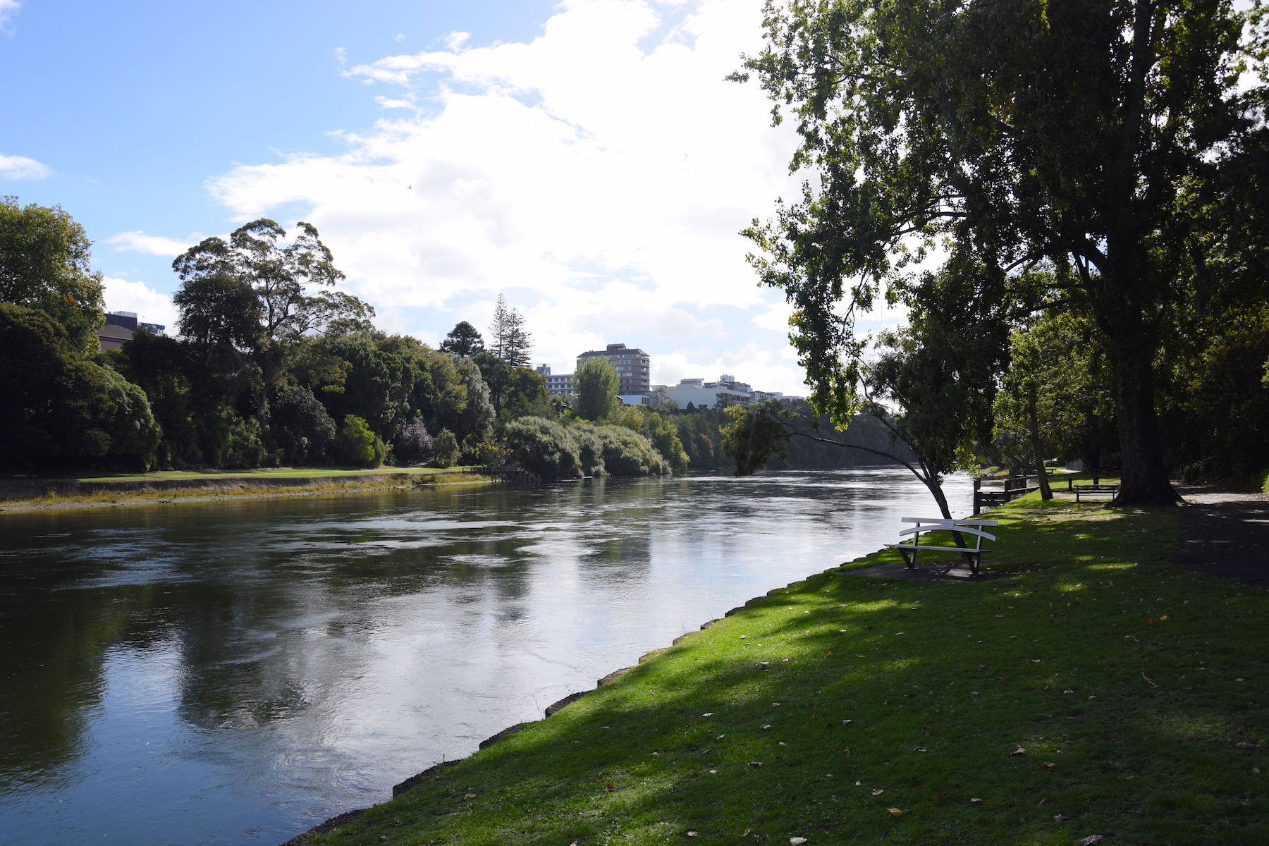 Waikato River