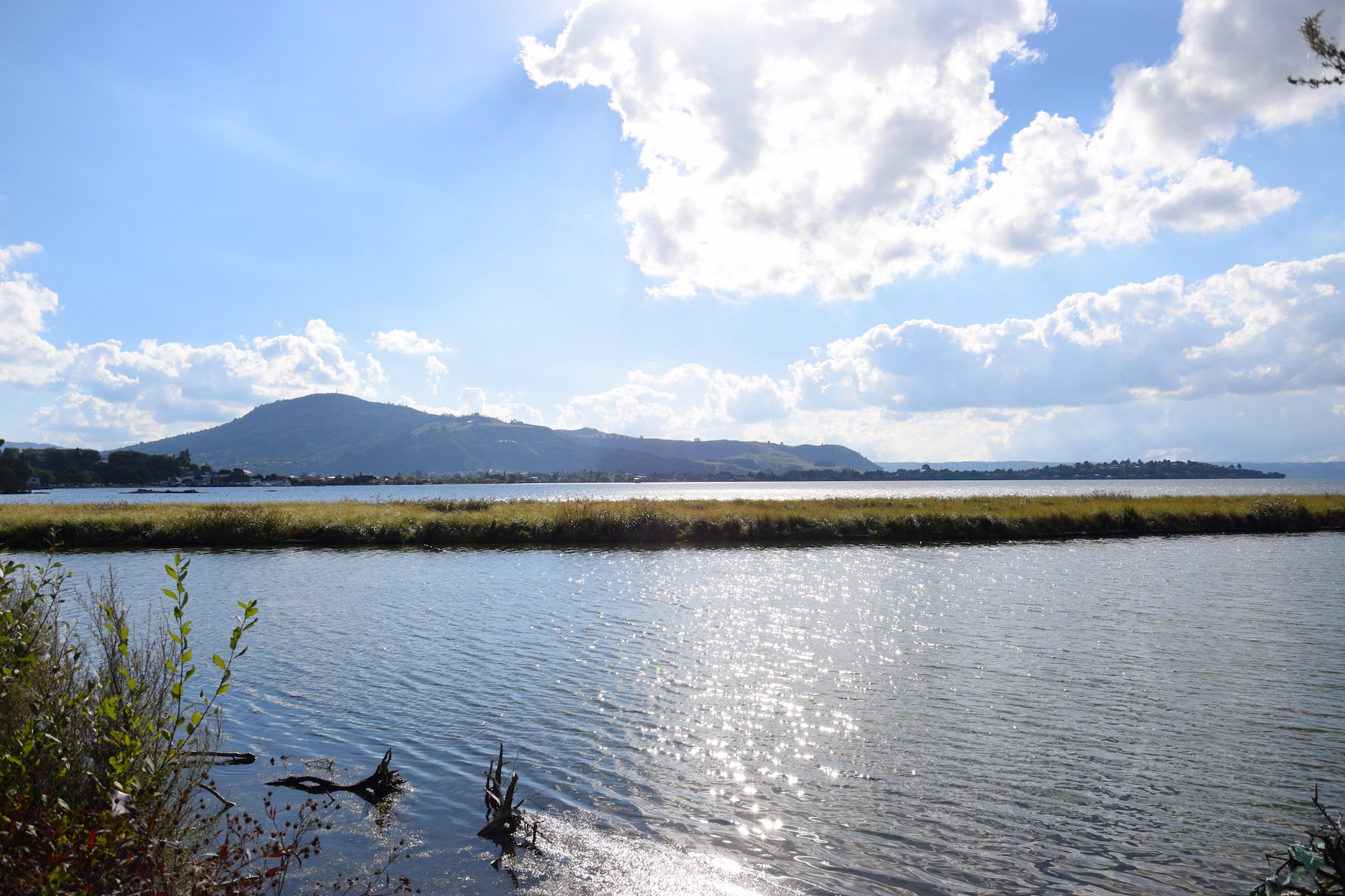 Lake Rotorua