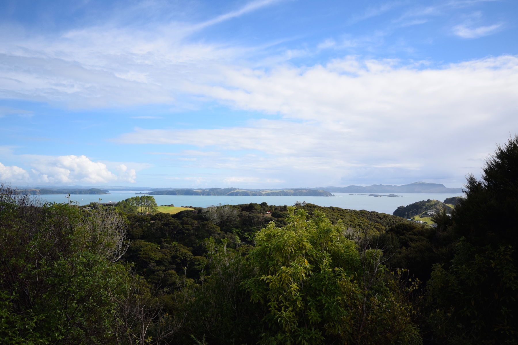 Bay of Islands mit Moturoa Island