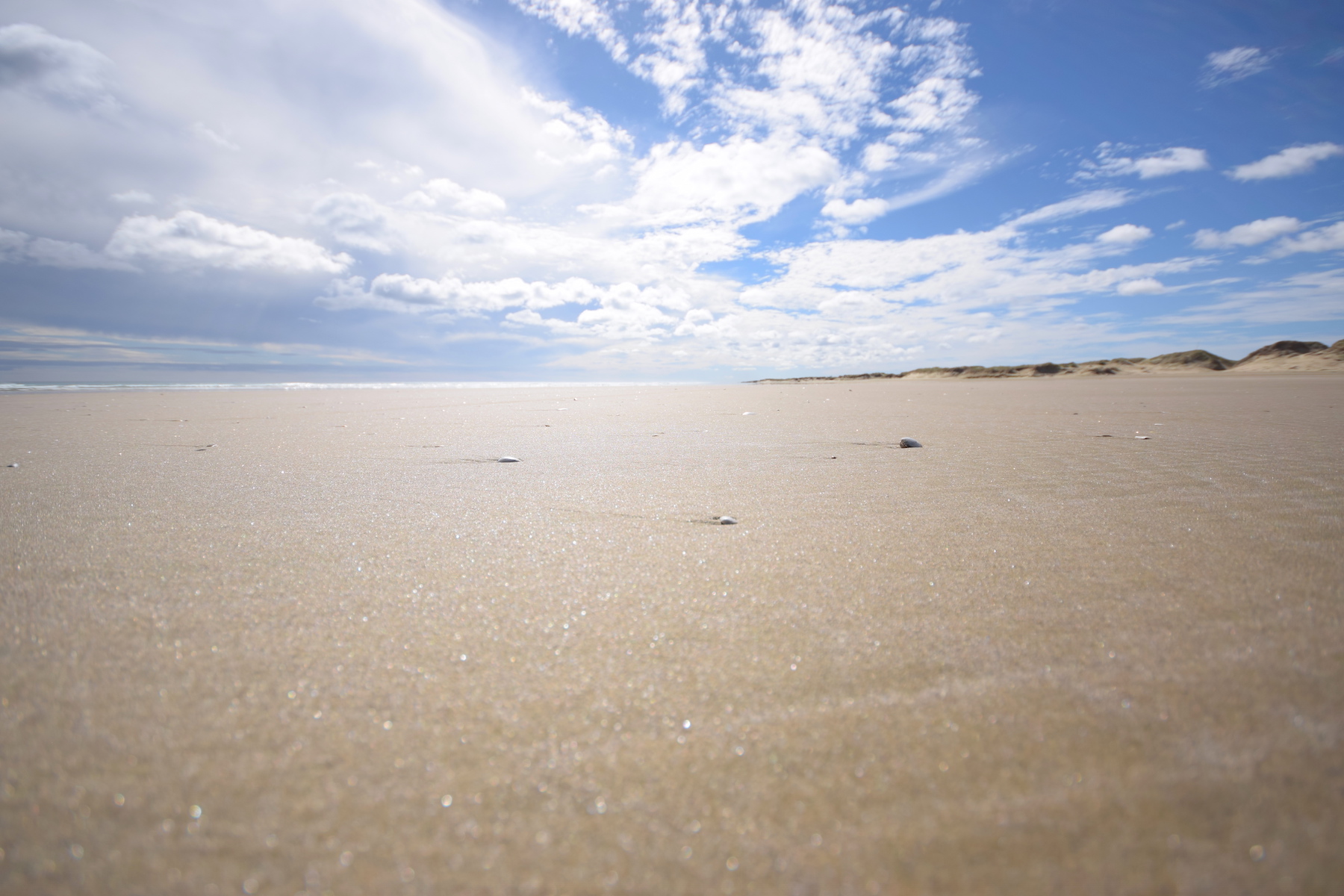 Ninety Mile Beach