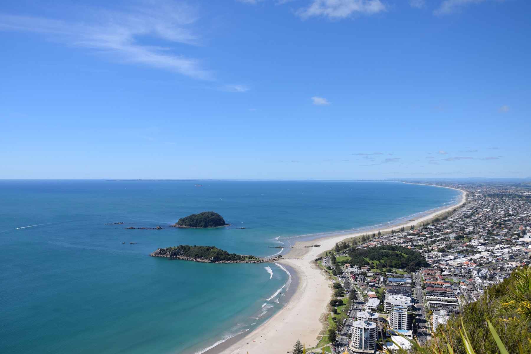 Tauranga