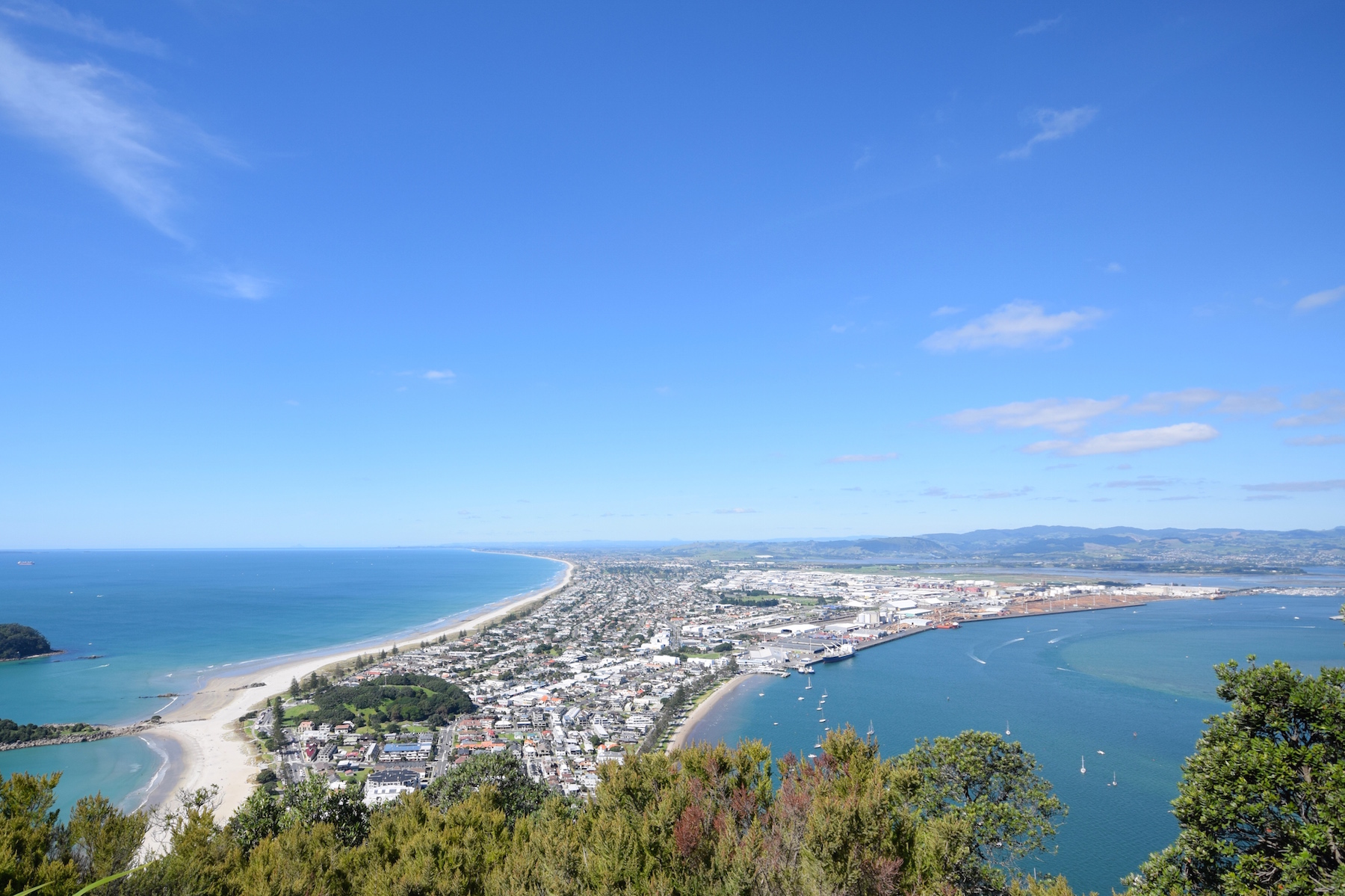 Tauranga