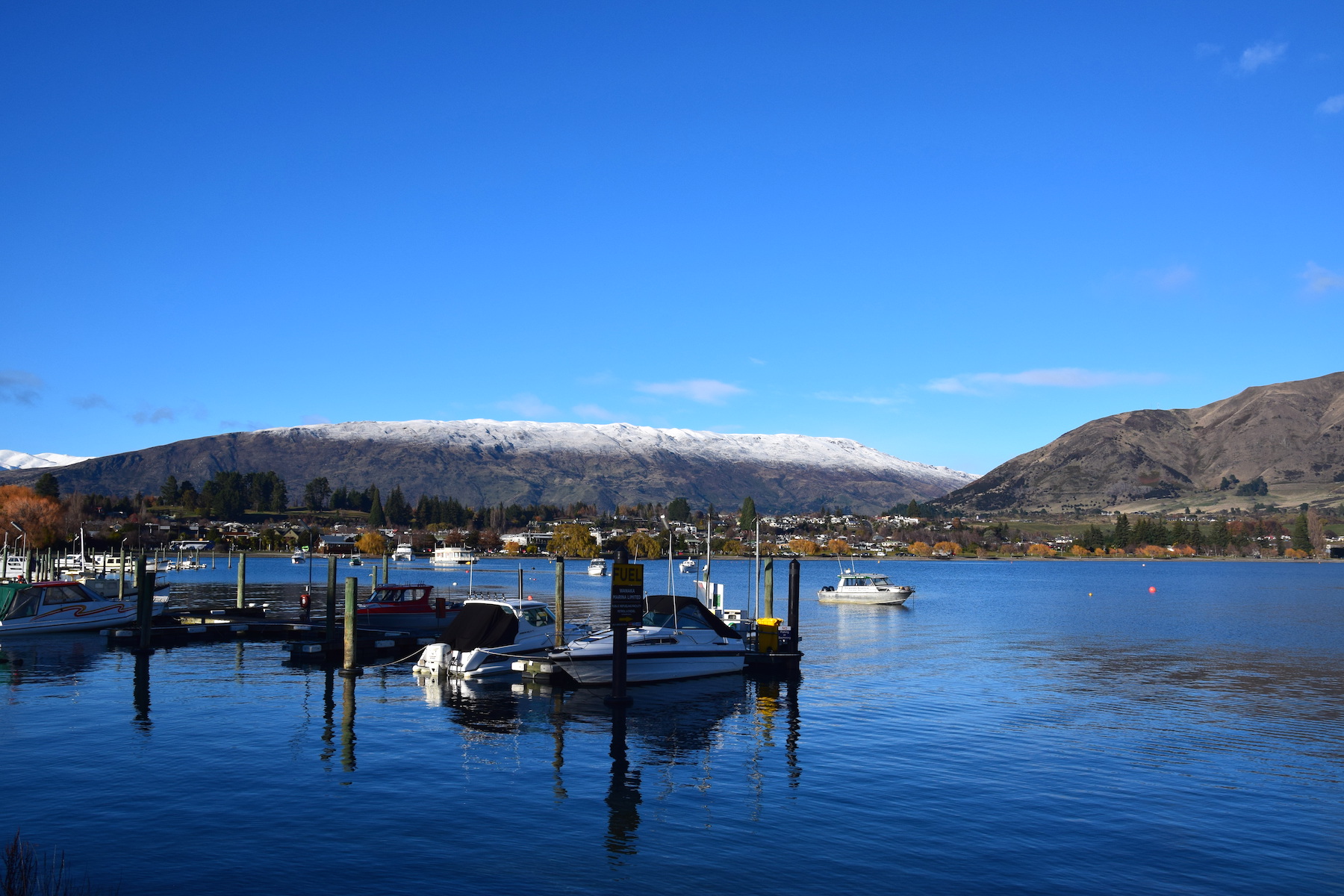 Wanaka