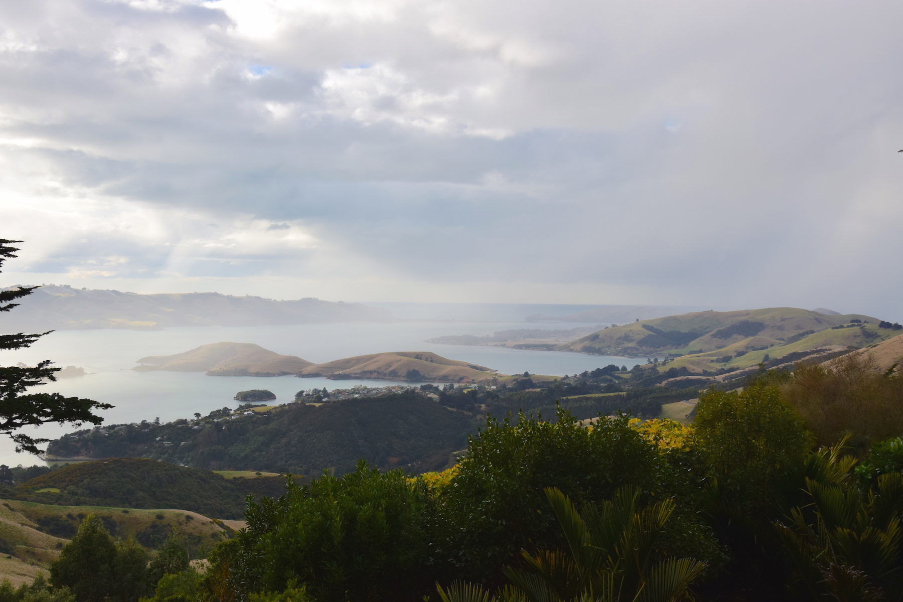 Halbinsel Otago Peninsula