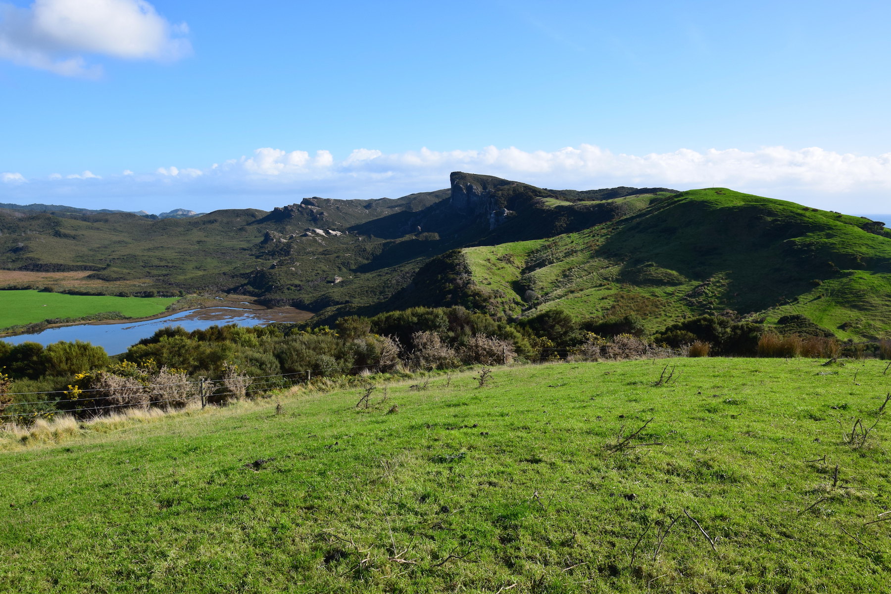 Landschaft am Cape Farewell