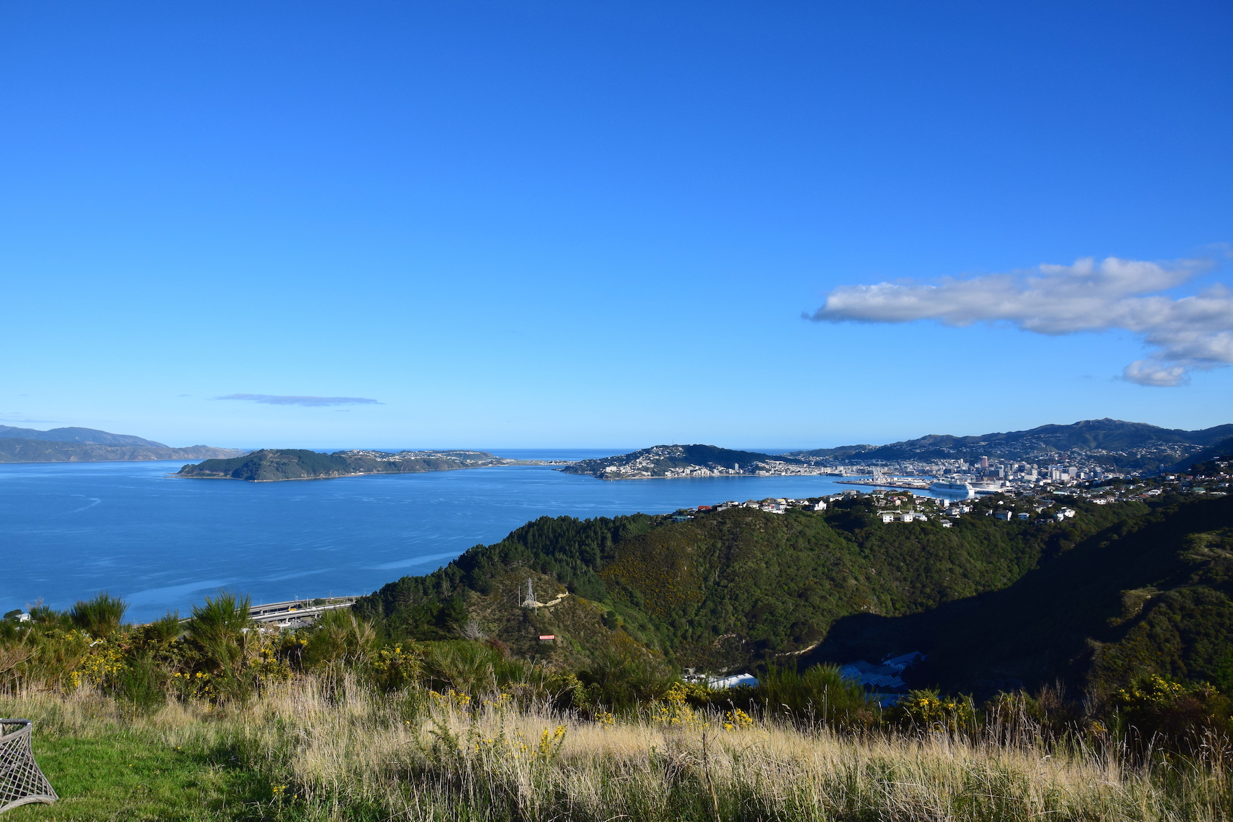 Wellington