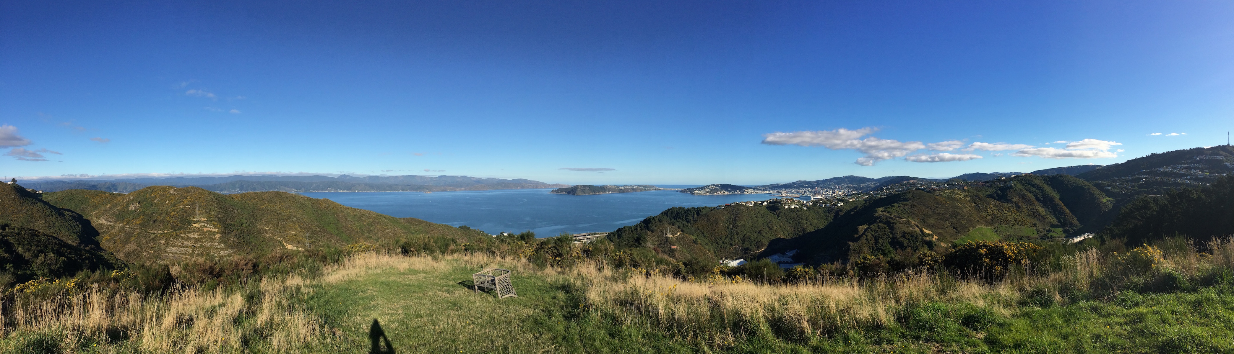 Panorama Wellington