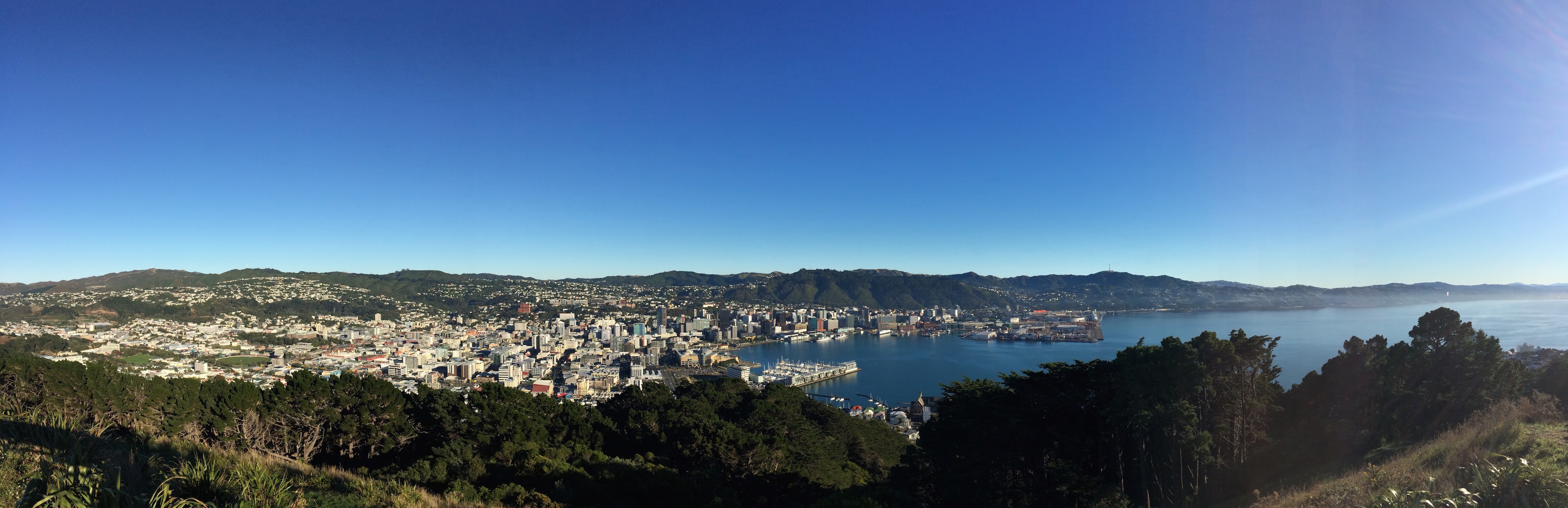 Wellington